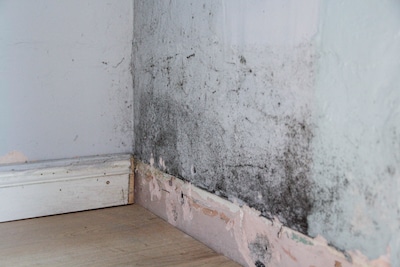 Image related to the article