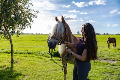 Sinds de eerste besmetting is elk sloom paard verdacht: ‘Het zal toch niet?’
