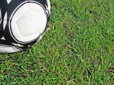 Image related to the article