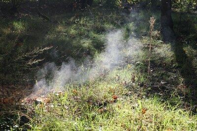 Image related to the article