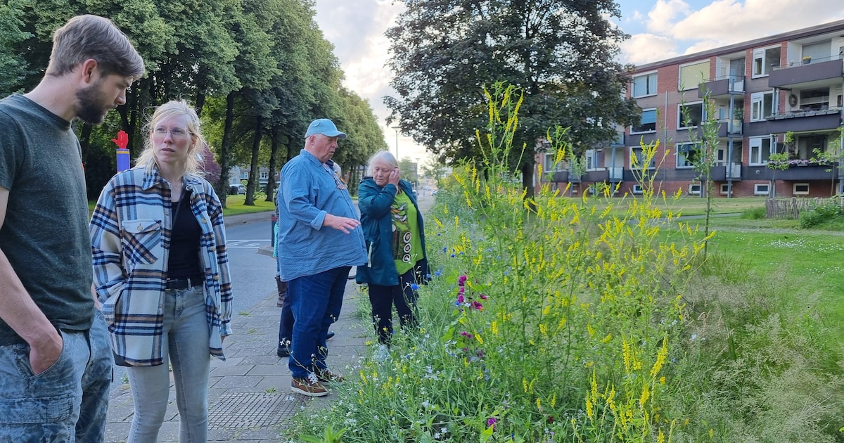 Gratis event 'Natuur & Gezondheid' viert tien jaar Groene Loper