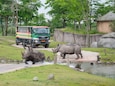 Wildlands Adventure Zoo Emmen