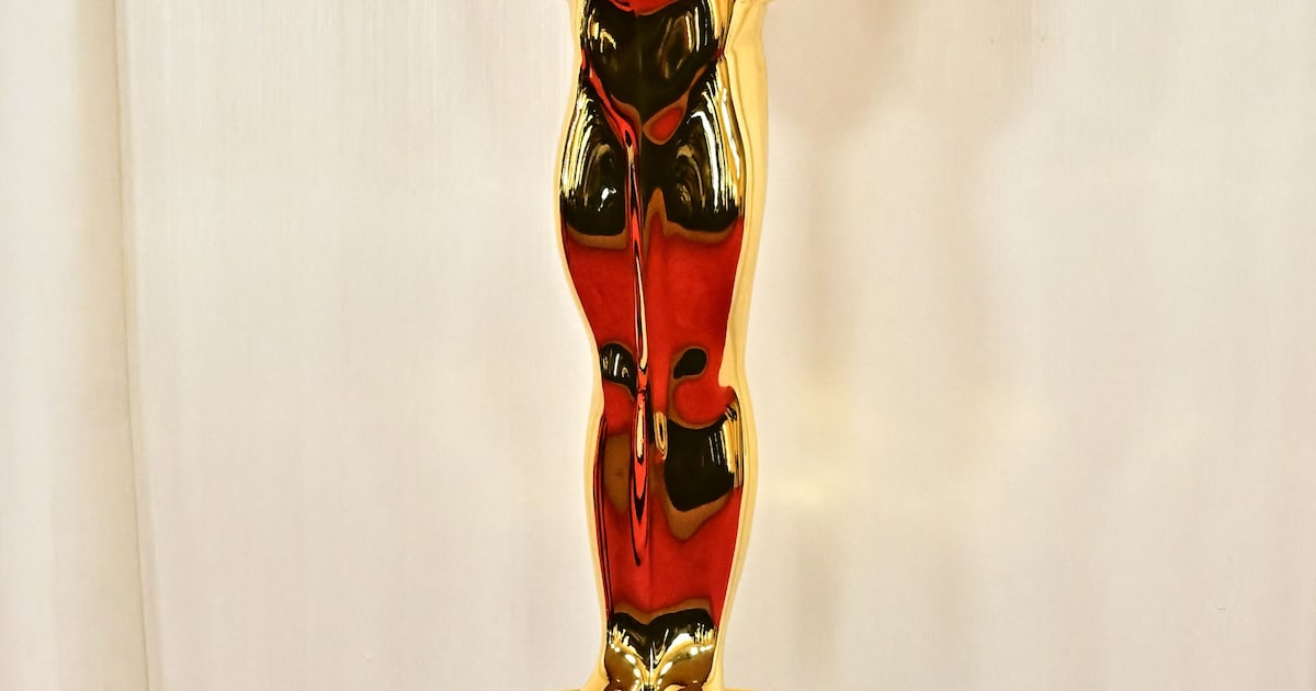 Filmhuis Lumen in Delft vertoont Oscarwinnaars op het grote scherm