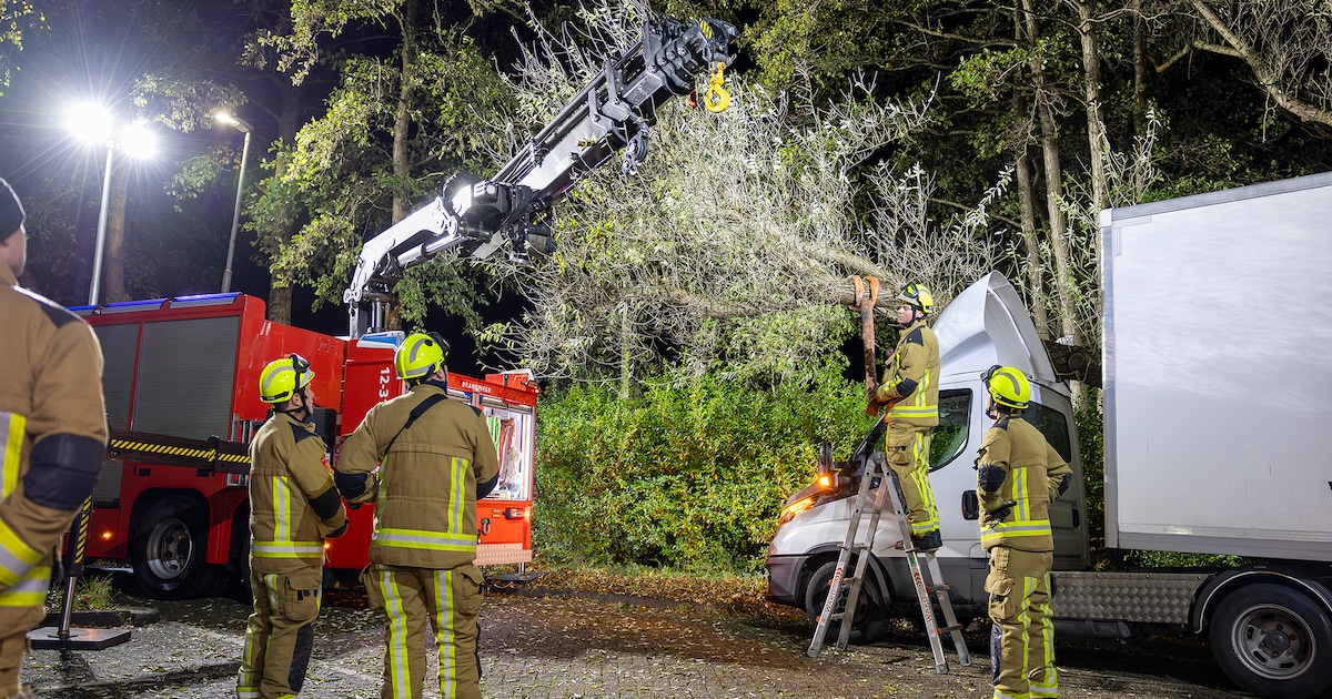Boom valt op cabine van vrachtwagen in Haarlem