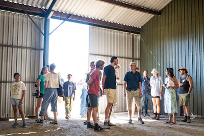 Jonge boeren uit heel Nederland komen naar deze boerderij in Malden: ‘Mijn droom is om hier voor mez