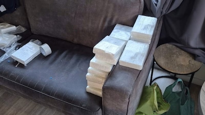 Police strike during undercover deal in Haarlem: eleven suspects arrested for fake cocaine