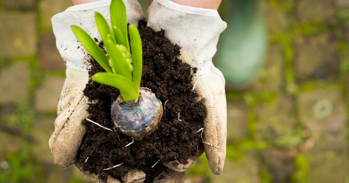 Activiteiten voor jong en oud tijdens Klimaatweek in Alphen