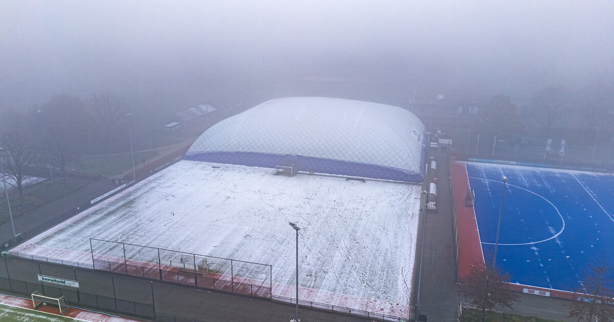Hockeyclub Zwolle wil met acht padelbanen in gat duiken: ‘Liever ...