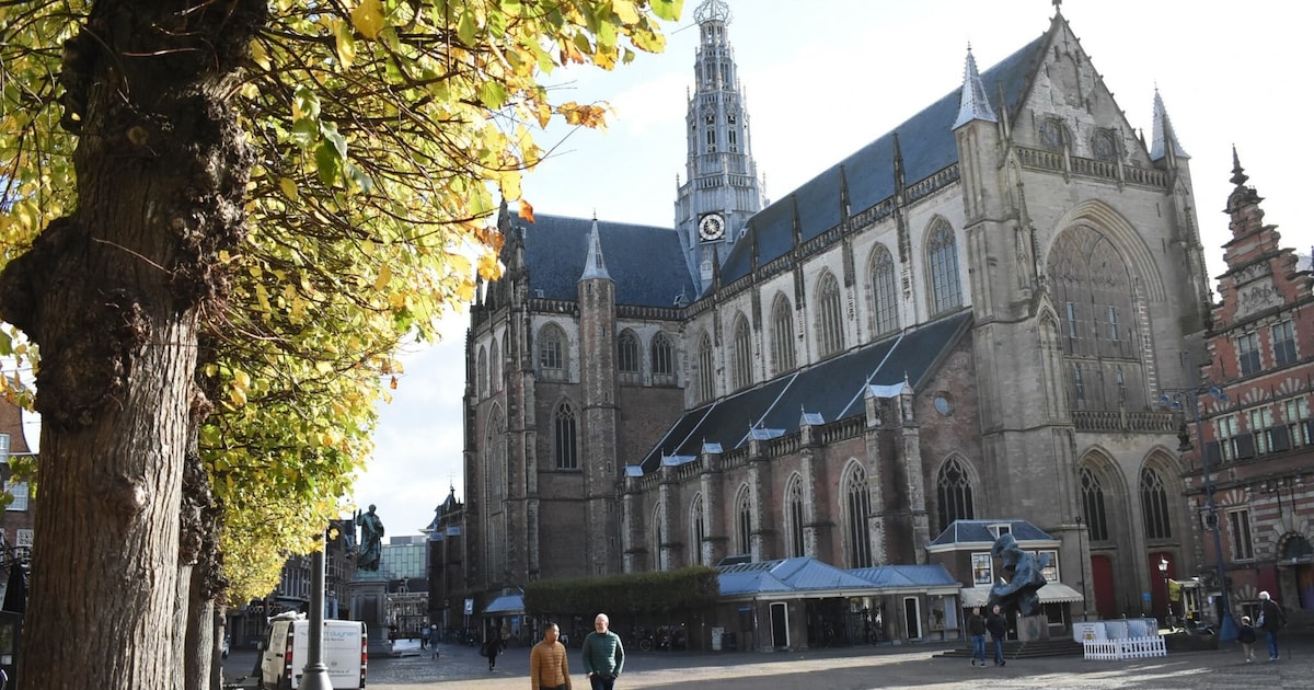 Zo viert Haarlem haar 780e verjaardag: lichtjes, kunst, taart en meer