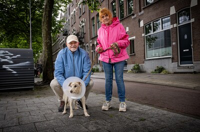 Ineke adopteerde hondje Gaudi uit Spanje, maar kreeg er kopzorgen én rekening van 6000 euro voor terug