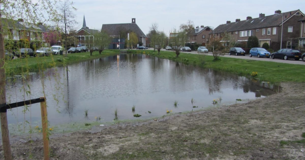 Fietsexcursie 'Oevers' in Maasland met KNVV Natuurlijk Delfland