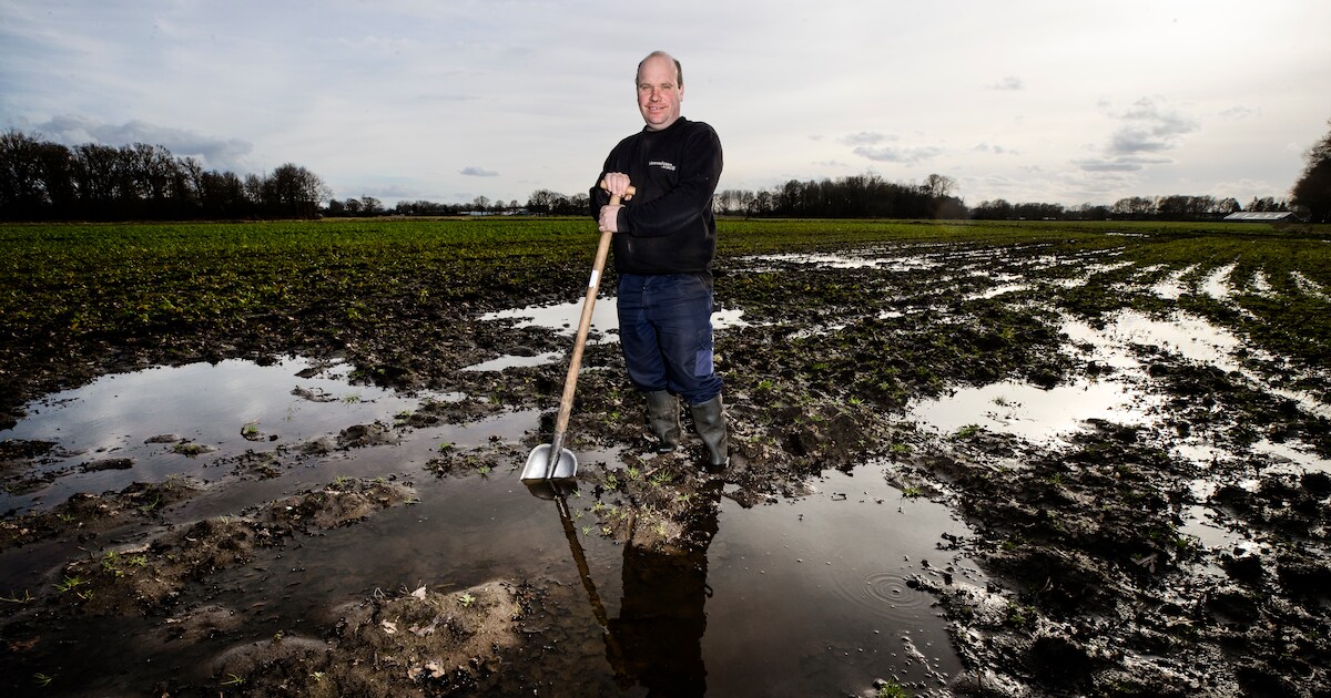 Zaaiseizoen nadert, maar akkers zijn nog kletsnat; boer snakt naar ‘een normaal jaar’