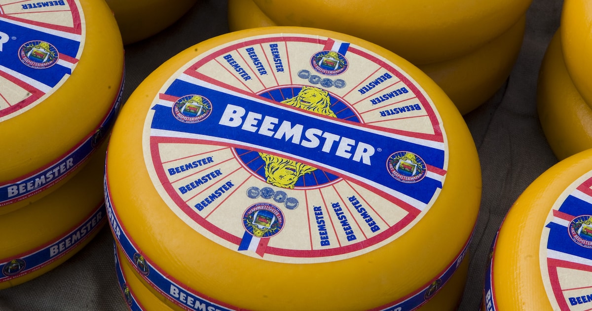 Beemster verkozen tot de beste kaas ter wereld: ‘Als je zo hoog scoort, weet je dat alles klopt’