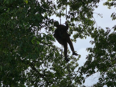 Militaire parachutist belandt tijdens sprong in boom bij Renkum