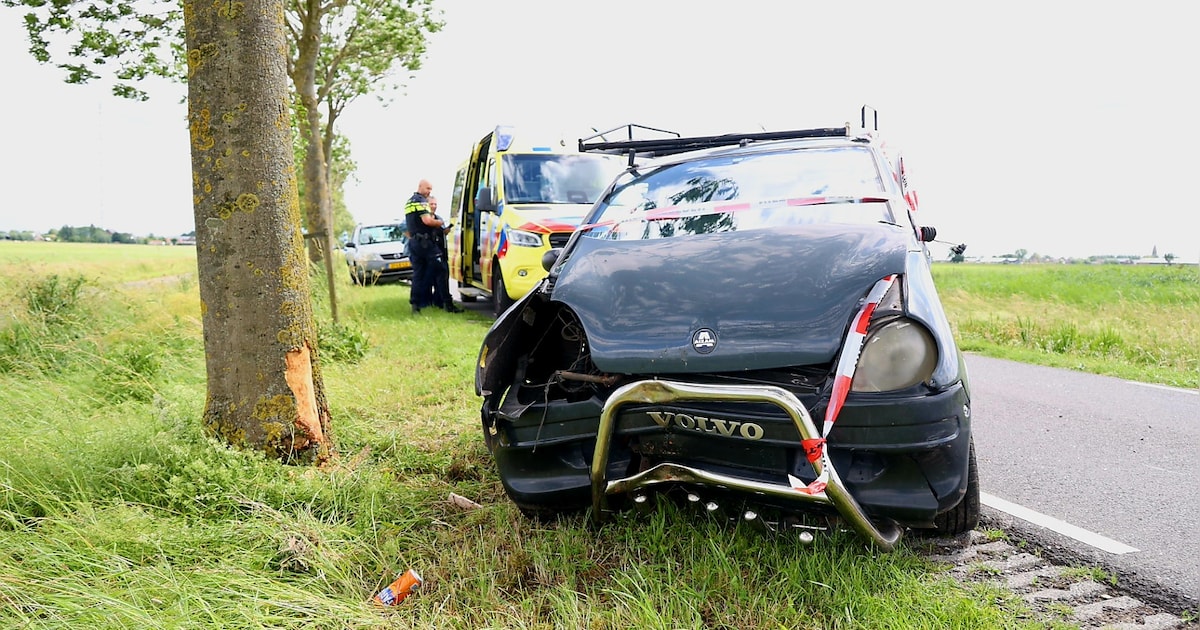 Brommobiel knalt tegen boom op Damweg in Lopik, bestuurder gewond