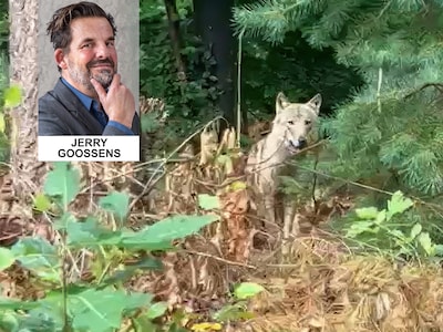 Bram, je had de pech dat je je vestigde in een land waar de natuur zich aan de mens moet aanpassen, 