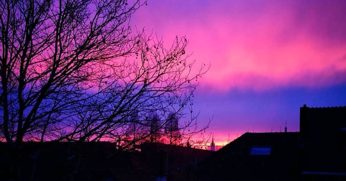 Denk jij vandaag meer paars op straat in Gouda te zien? Dit is de reden!