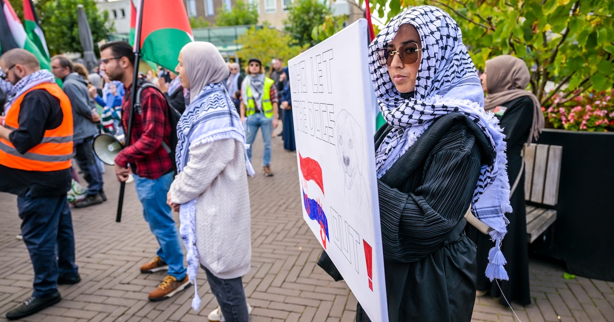 Export van vechthonden naar Israël gaat door ondanks Kamermeerderheid: ‘Totaal onacceptabel’