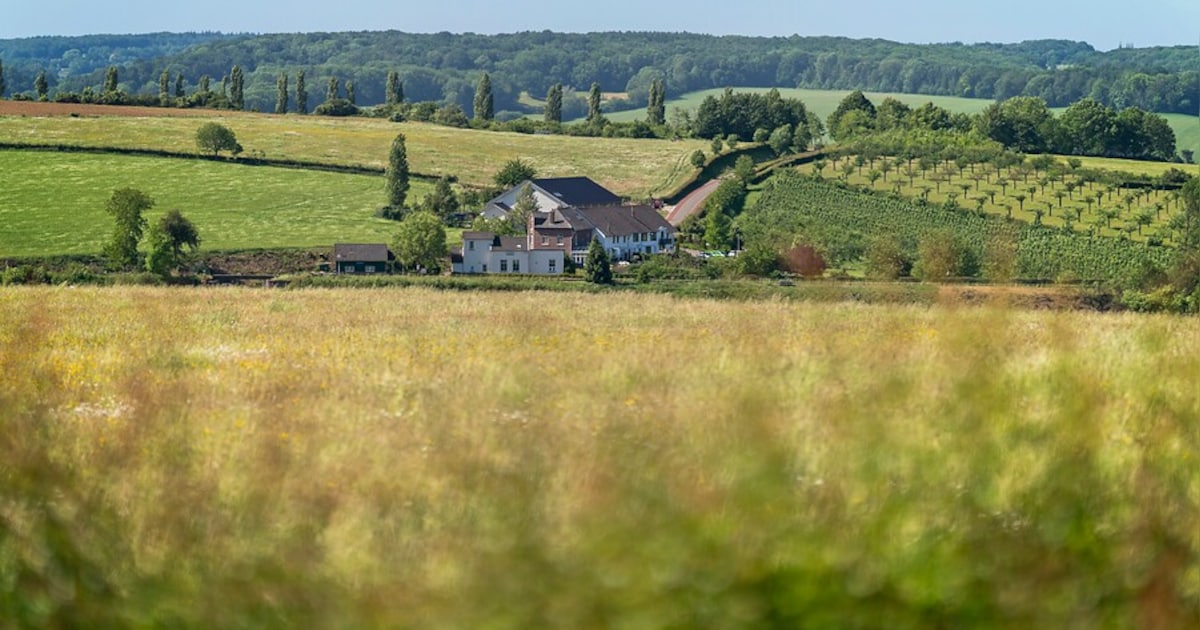 Limburg biedt subsidie voor klimaatmaatregelen in landelijk gebied