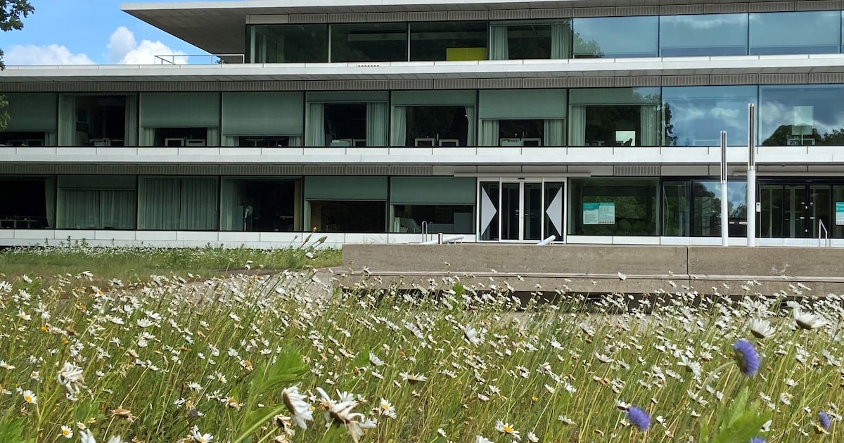 Stikstofmars doet gemeentehuis in Vries aan, verkeershinder niet uitgesloten