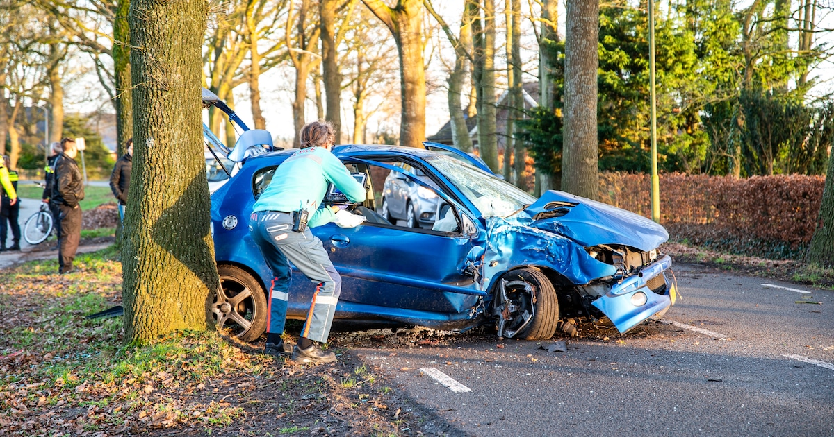Auto flink beschadigd na botsing tegen boom in Nieuw-Roden