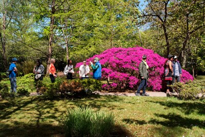 Weekendtips: deze dingen doe je in Den Haag (24-26 april)