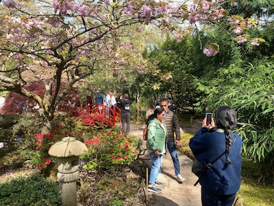 Het kan weer: genieten van al het moois in de Japanse tuin (met video)