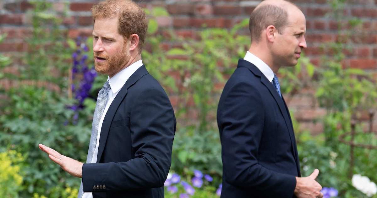 geruchtmakend-boek-over-britse-royals-in-nederland-uit-de-handel