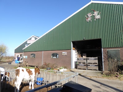 Film over eten: hier in Woerden kun je die de komende maand gratis bekijken