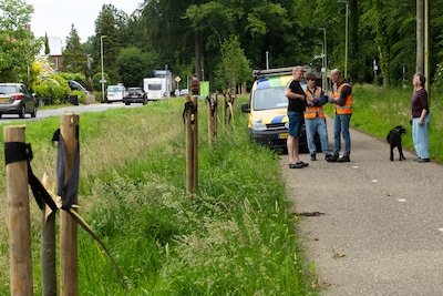 Splinternieuwe bomen worden binnen een maand vernield: ‘Daar zijn we uiteraard niet blij mee’