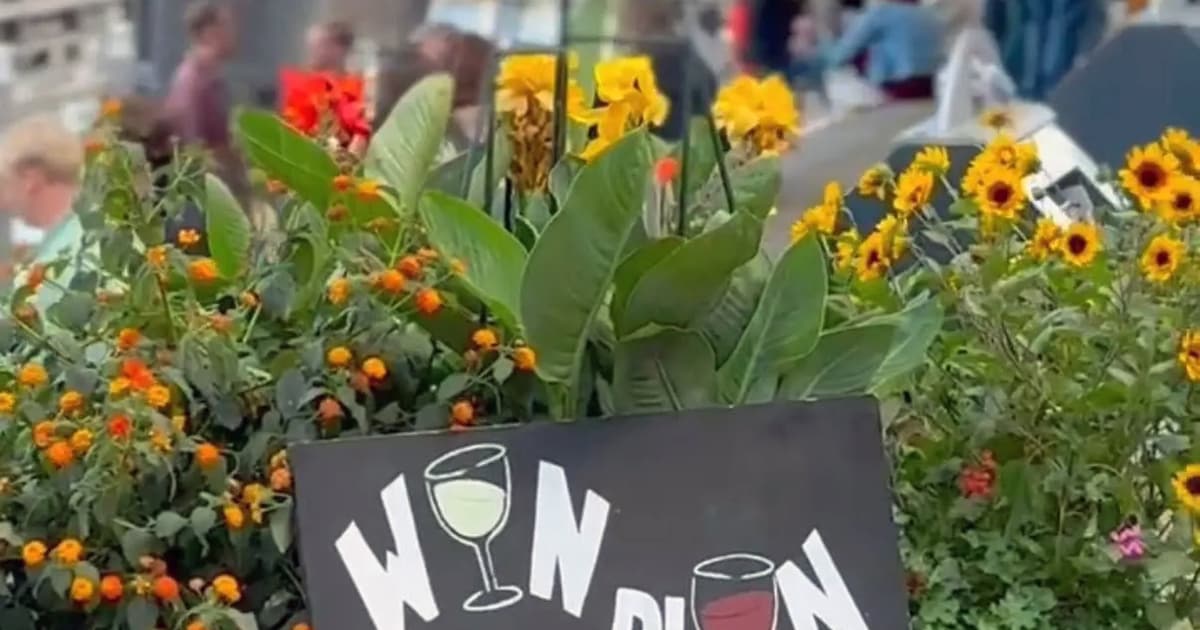 Wijnfestival aan de Gorcumse Lingehaven met wijnen uit hele wereld, gerechtjes én silent disco
