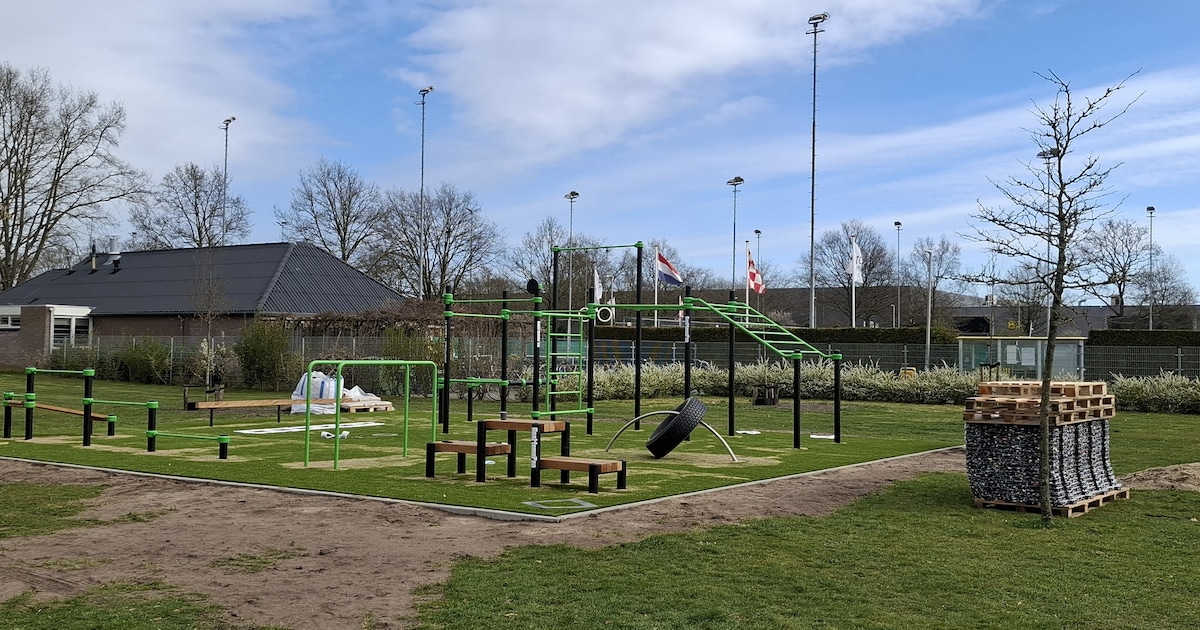 Stichting Dillenburgpark plaatst calisthenics-toestellen in Drunen