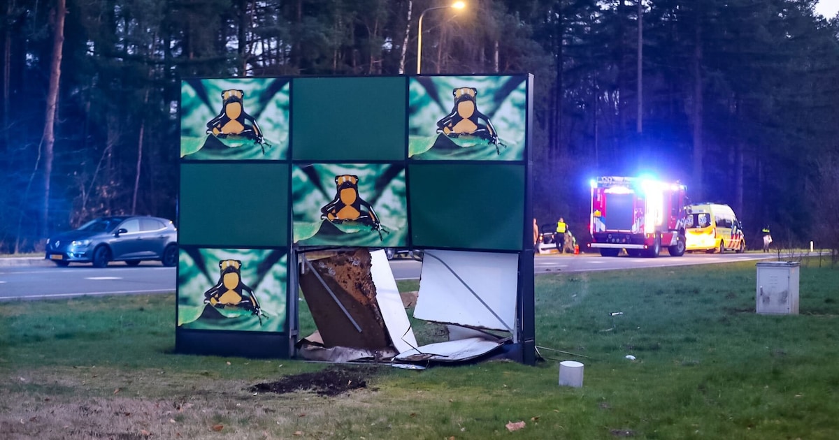 Automobilist rijdt dwars door bord langs de weg in Ugchelen