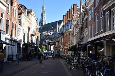 Roadworks in Haarlem: what to expect this week (June 22 - June 29)