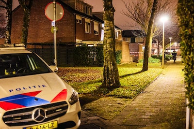 Image related to the article