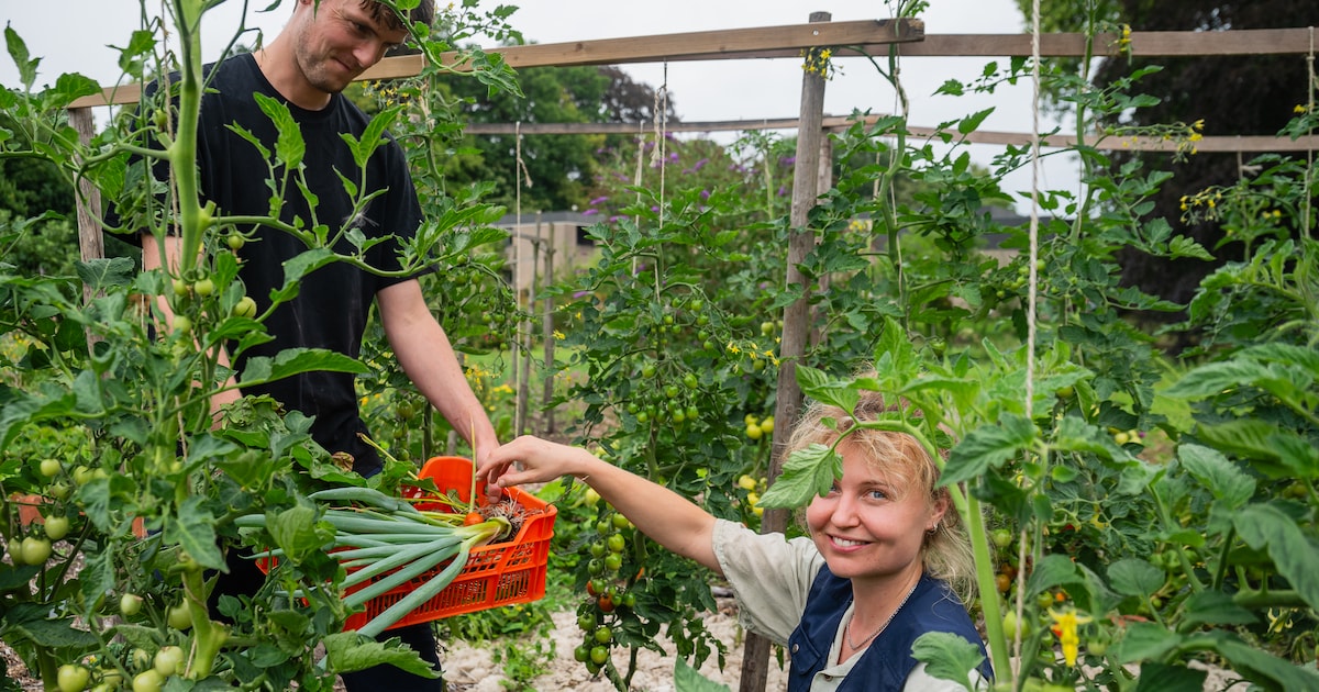 Moestuin zoekt vrijwilligers in Oude Pekela