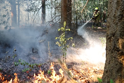 Na bosbrand in Soesterduinen doet gemeente dringende oproep aan bezoekers
