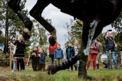 Image related to the article