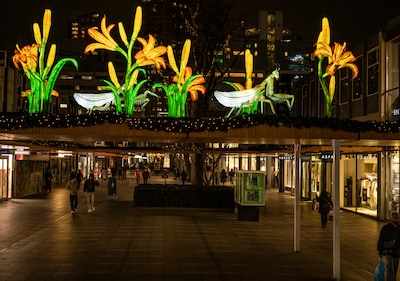 serie-afgekocht-adr-de-lijnbaan-kunstenaar-projectleider-en-studenten-bij-de-stad-verlicht-oa-de-kruiskade-china-lightbaan-en-donner-de-verlichting-werd-getest-op-veel-plekken-stond-het-nog-niet-aan-en-bij-oger-waren-de-rolluiken-naar-beneden-foto-frank-de-roo