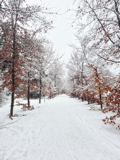 Winterwonderland! Dit zijn jullie mooiste foto's van Ede in de sneeuw