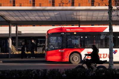 Image related to the article