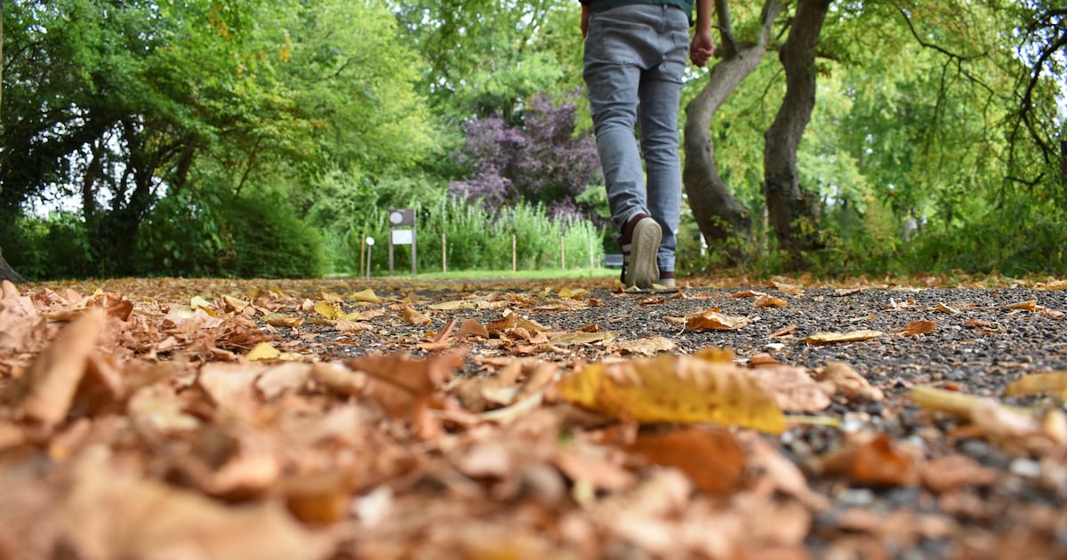 Leuke dingen doen tijdens de herfstvakantie? Dit is de weersverwachting in Zoetermeer
