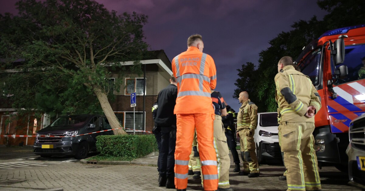 Omgewaaide boom blijft nacht liggen in Delfgauw, rolstoelbus beschadigd
