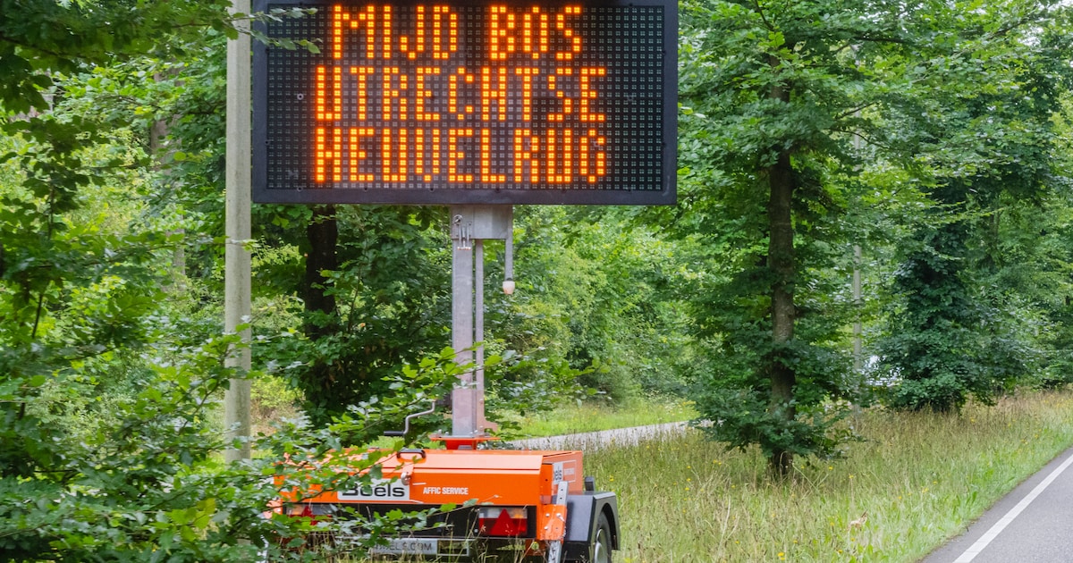 Moet de gemeente ondernemers rondom Den Treek tegemoetkomen voor gemiste inkomsten?