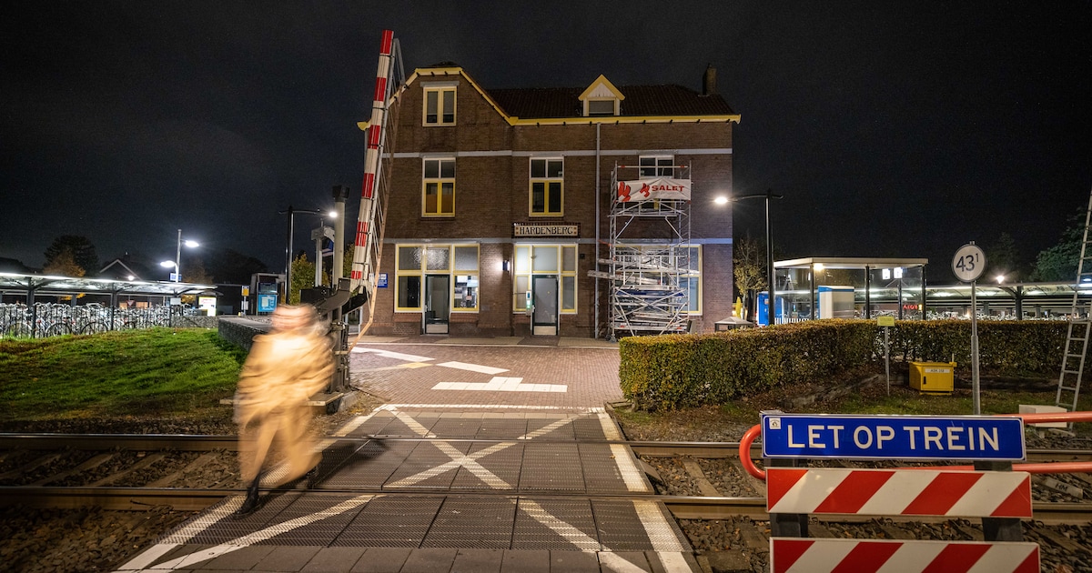 Wildvreemde man (18) vergrijpt zich aan jonge vrouwen op station