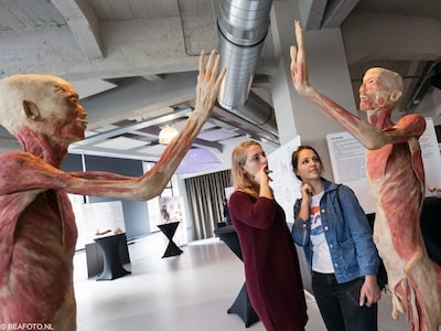 Tot op het bot: bij deze expo krijg je een kijkje in het menselijk lichaam