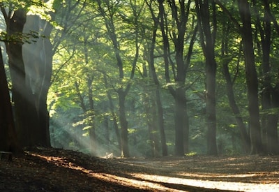 Kinderavondwandeling op landgoed Hoekelum