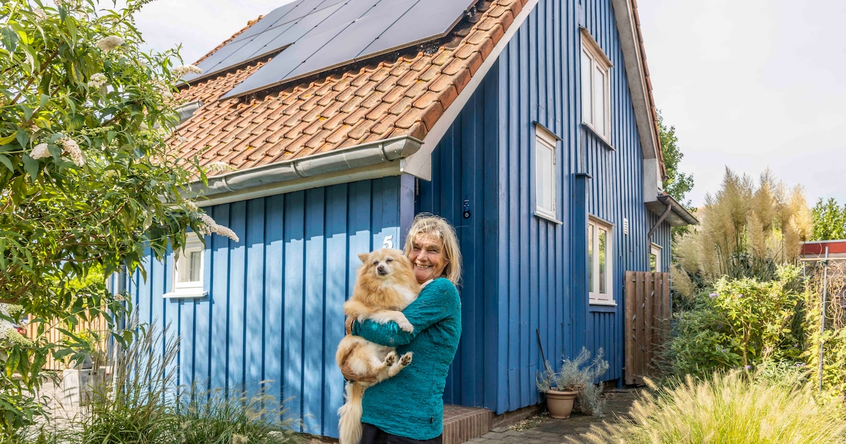 Wonen in een stukje Noorwegen in Hansweert: ‘Ik heb hier elke dag een vakantiegevoel’