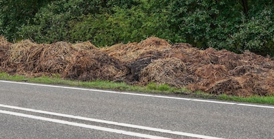 Politie gaat uit van brandstichting bij hooibrand in Heesch