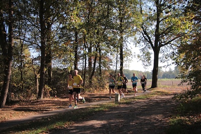 Kilometers hardlopen langs Rutbeek of paarden kijken bij Military: dit is er te doen dit weekend